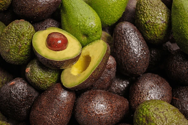 Avocado Hass